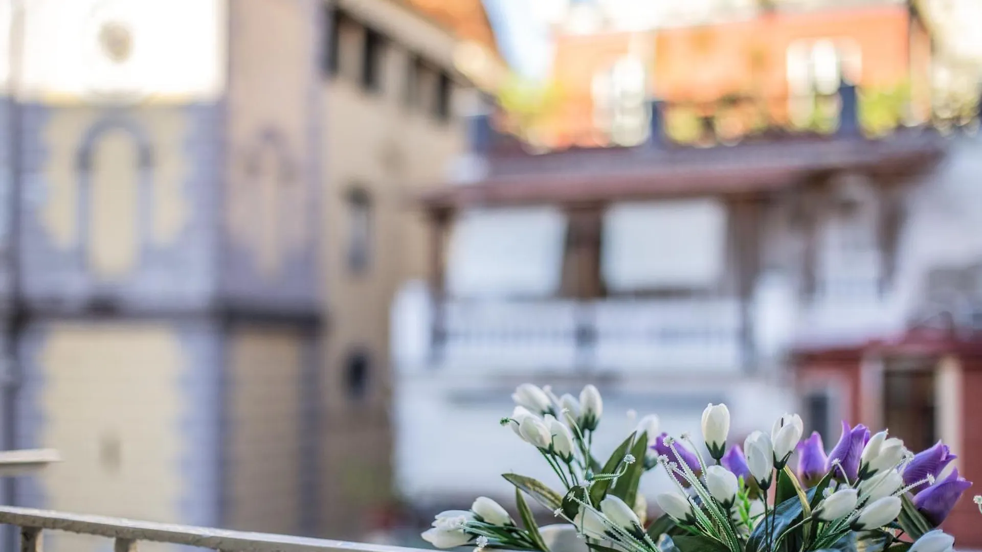Bed and Breakfast Cuore Urbano Montesanto Νάπολη Ιταλία